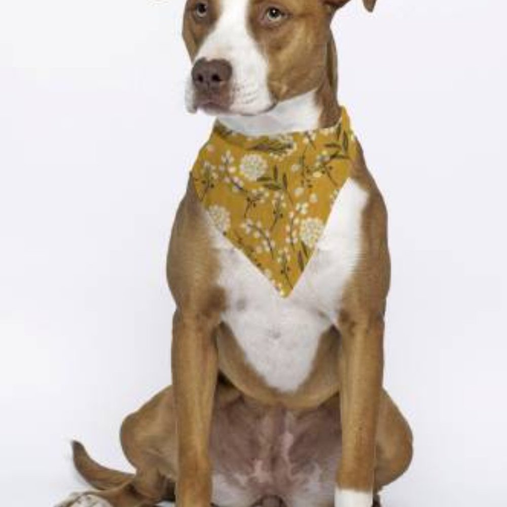 Triangle Bandana For Dog or Cat Yellow Florals